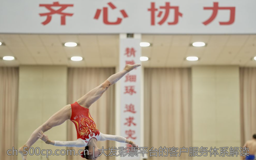 大发彩票平台的客户服务体系解读