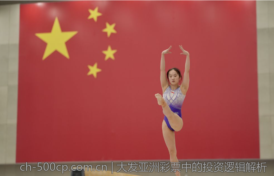 大发亚洲彩票中的投资逻辑解析