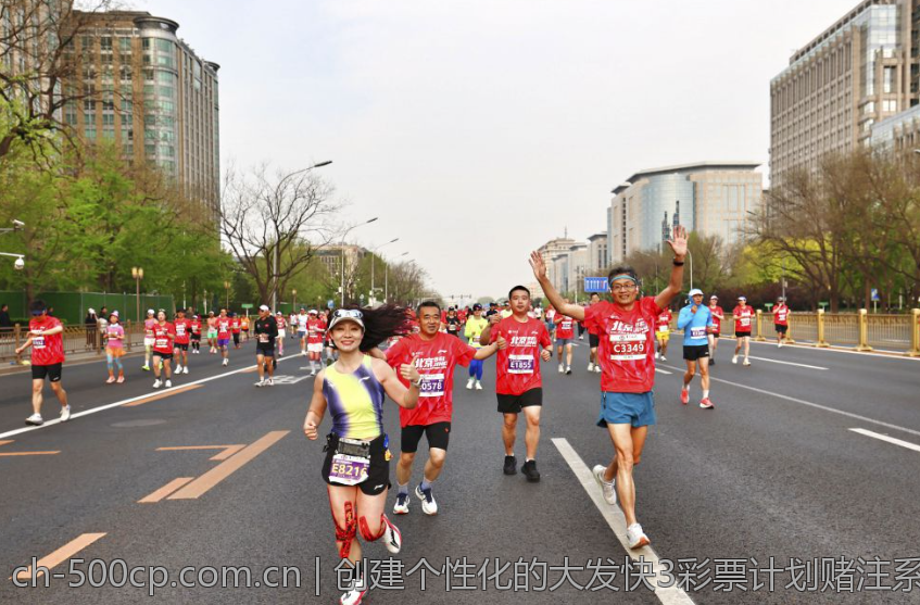 创建个性化的大发快3彩票计划赌注系统